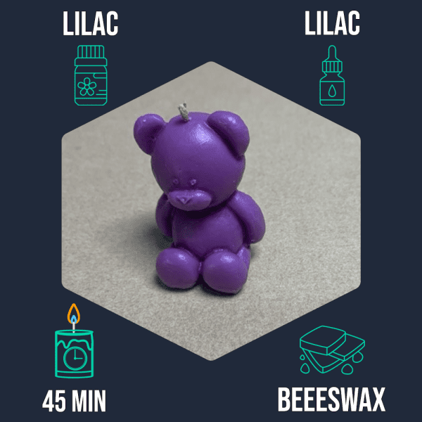 Bear - Image 10